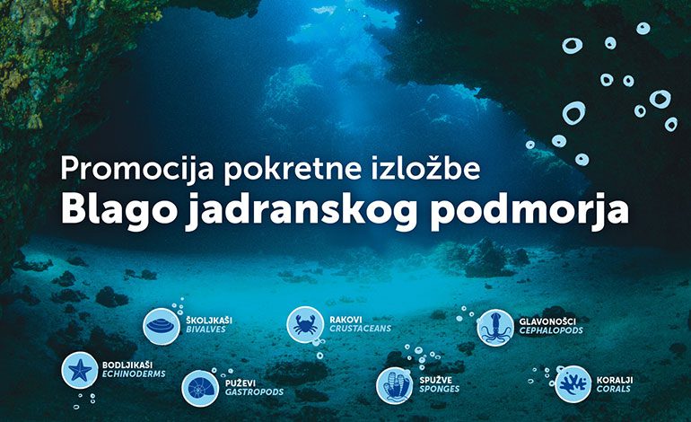  Svjetski dan mora i oceana otvaranjem izložbe „Blago jadranskog podmorja“