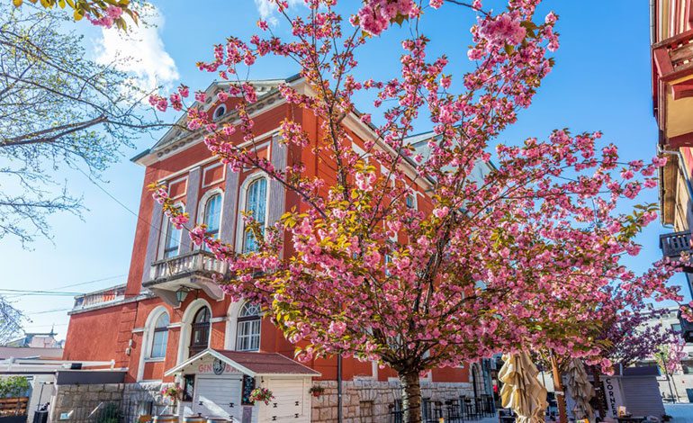  „Cherry blossom“ festival Crikvenica