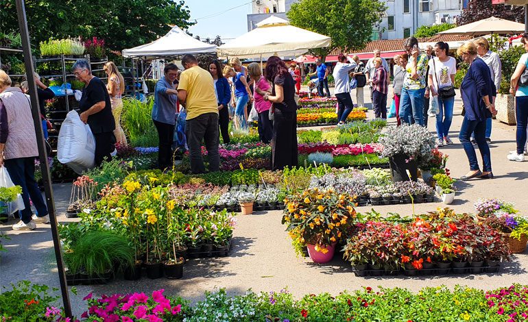  Crikvenica u cvijeću – SAJAM CVIJEĆA 2022.