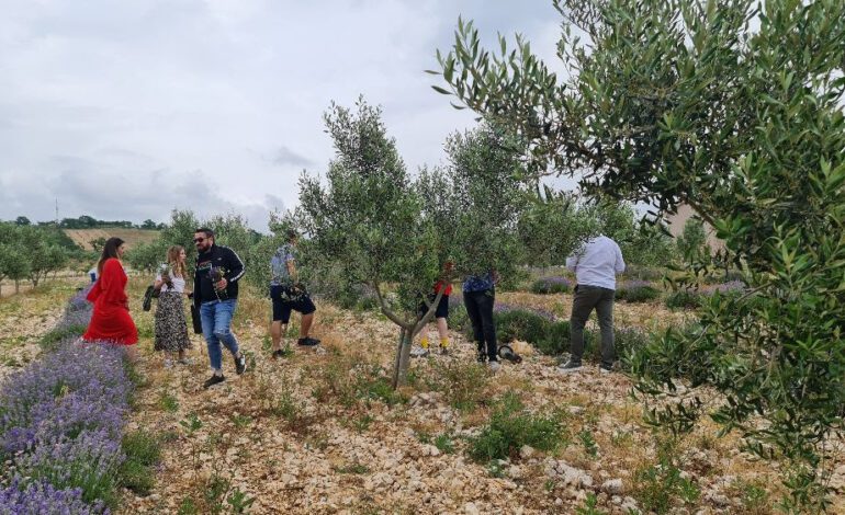  Srpski medijski profesionalci posjetili Kvarner i obišli Crikveničko-vinodolsku rivijeru