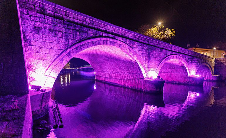  Palčići – obilježavanje Međunarodnoga dana prijevremeno rođene djece